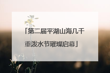 第二届平湖山海几千重泼水节璀璨启幕