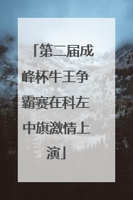 第二届成峰杯牛王争霸赛在科左中旗激情上演