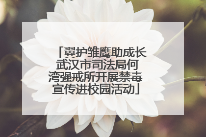 翼护雏鹰助成长 武汉市司法局何湾强戒所开展禁毒宣传进校园活动