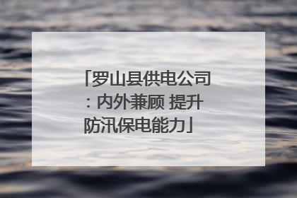 罗山县供电公司：内外兼顾 提升防汛保电能力