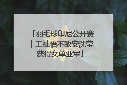 羽毛球印尼公开赛｜王祉怡不敌安洗莹 获得女单亚军