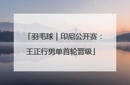 羽毛球｜印尼公开赛：王正行男单首轮晋级