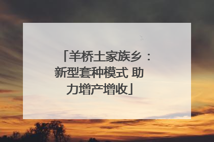 羊桥土家族乡：新型套种模式 助力增产增收