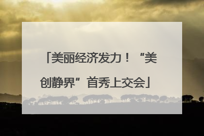 美丽经济发力！“美创静界”首秀上交会