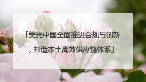 美光中国全面推进合规与创新，打造本土高效供应链体系
