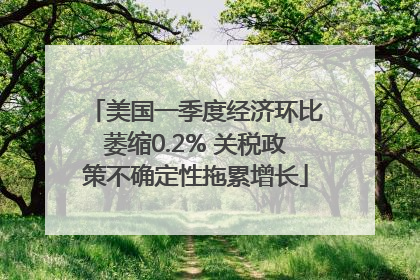 美国一季度经济环比萎缩0.2% 关税政策不确定性拖累增长