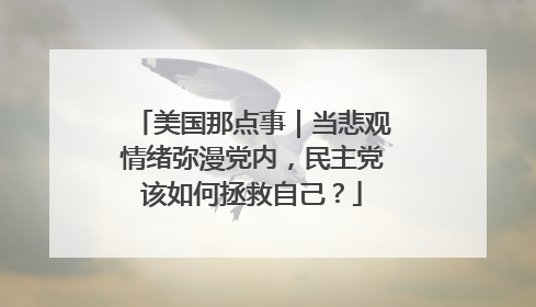 美国那点事｜当悲观情绪弥漫党内，民主党该如何拯救自己？