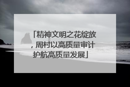 精神文明之花绽放，周村以高质量审计护航高质量发展