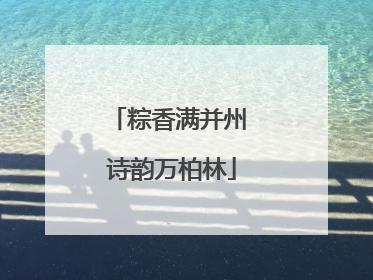 粽香满并州 诗韵万柏林