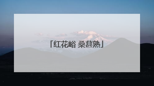 红花峪 桑葚熟