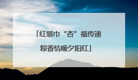 红领巾“杏”福传递 粽香情暖夕阳红