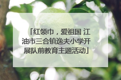 红领巾，爱祖国 江油市三合镇逸夫小学开展队前教育主题活动