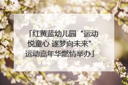 红黄蓝幼儿园“运动悦童心 逐梦向未来”运动嘉年华燃情举办