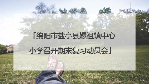 绵阳市盐亭县嫘祖镇中心小学召开期末复习动员会