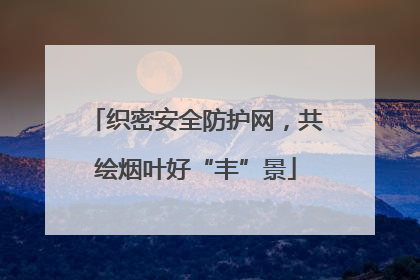 织密安全防护网，共绘烟叶好“丰”景