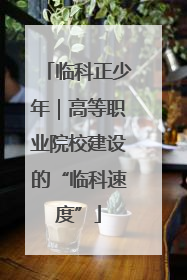 临科正少年｜高等职业院校建设的“临科速度”