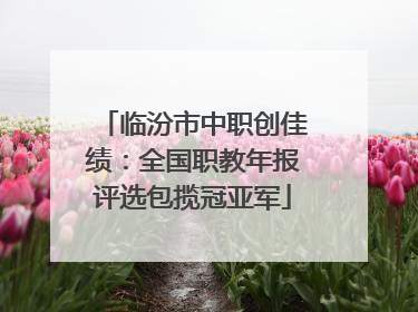 临汾市中职创佳绩：全国职教年报评选包揽冠亚军