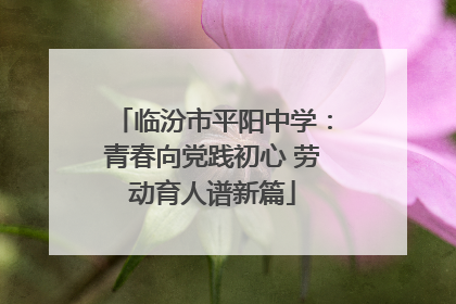 临汾市平阳中学：青春向党践初心 劳动育人谱新篇