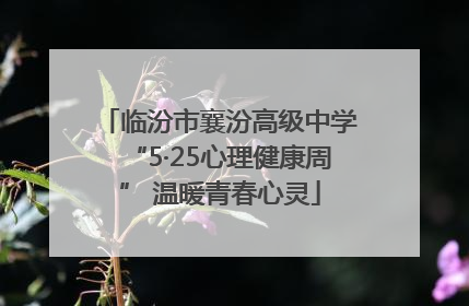 临汾市襄汾高级中学“5·25心理健康周” 温暖青春心灵