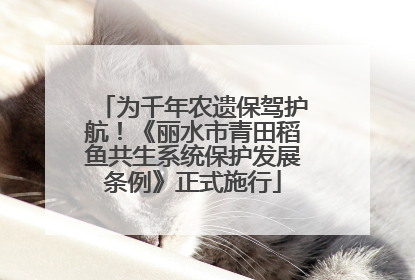 为千年农遗保驾护航！《丽水市青田稻鱼共生系统保护发展条例》正式施行