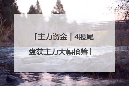主力资金｜4股尾盘获主力大幅抢筹