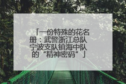 一份特殊的花名册：武警浙江总队宁波支队镇海中队的“精神密码”