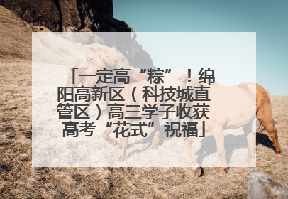 一定高“粽”！绵阳高新区（科技城直管区）高三学子收获高考“花式”祝福