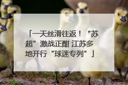 一天丝滑往返！“苏超”激战正酣 江苏多地开行“球迷专列”