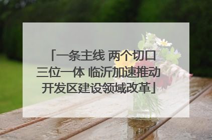一条主线 两个切口 三位一体 临沂加速推动开发区建设领域改革