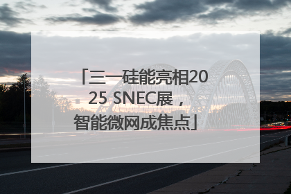 三一硅能亮相2025 SNEC展，智能微网成焦点