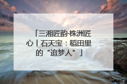 三湘匠韵·株洲匠心丨石天宝：稻田里的“追梦人”