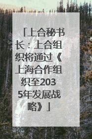 上合秘书长：上合组织将通过《上海合作组织至2035年发展战略》