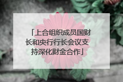 上合组织成员国财长和央行行长会议支持深化财金合作
