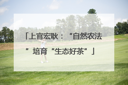上官宏耿：“自然农法”培育“生态好茶”