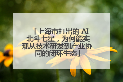 上海市打出的 AI 北斗七星，为何能实现从技术研发到产业协同的闭环生态