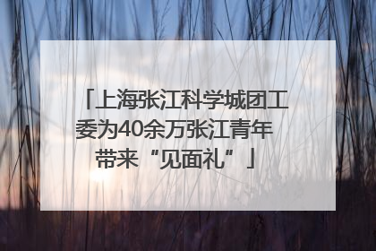 上海张江科学城团工委为40余万张江青年带来“见面礼”