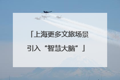 上海更多文旅场景引入“智慧大脑”