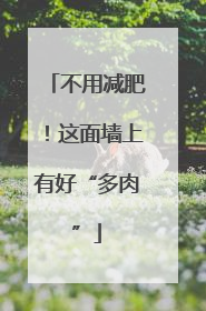 不用减肥！这面墙上有好“多肉”