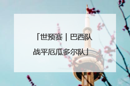 世预赛｜巴西队战平厄瓜多尔队