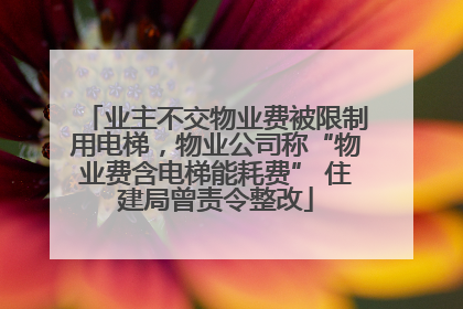业主不交物业费被限制用电梯，物业公司称“物业费含电梯能耗费” 住建局曾责令整改
