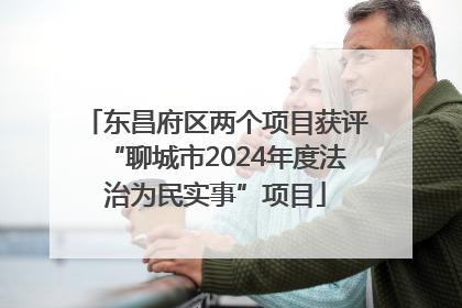 东昌府区两个项目获评“聊城市2024年度法治为民实事”项目