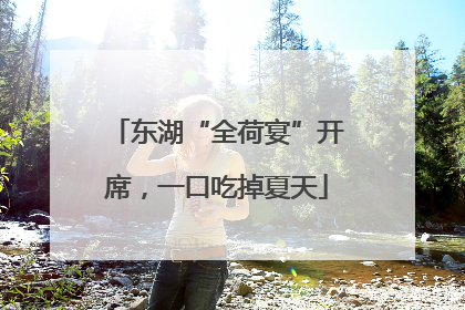 东湖“全荷宴”开席，一口吃掉夏天