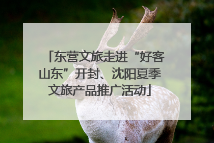 东营文旅走进“好客山东”开封、沈阳夏季文旅产品推广活动