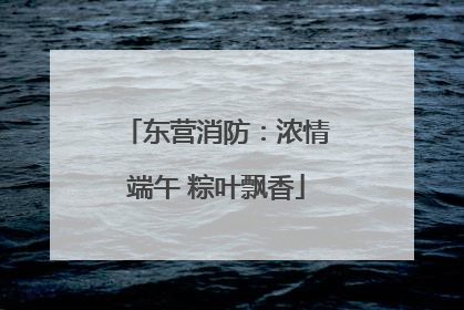 东营消防：浓情端午 粽叶飘香