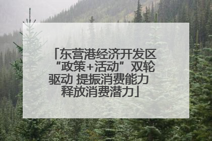 东营港经济开发区“政策+活动”双轮驱动 提振消费能力 释放消费潜力
