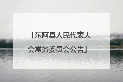 东阿县人民代表大会常务委员会公告