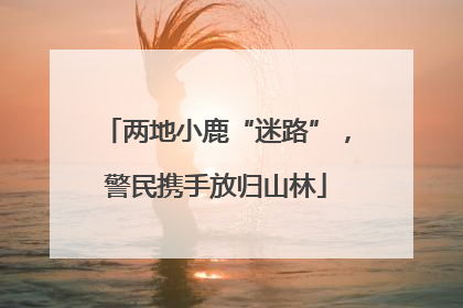 两地小鹿“迷路”，警民携手放归山林