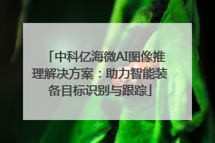 中科亿海微AI图像推理解决方案：助力智能装备目标识别与跟踪