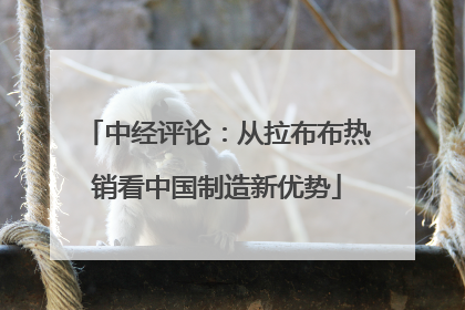 中经评论：从拉布布热销看中国制造新优势