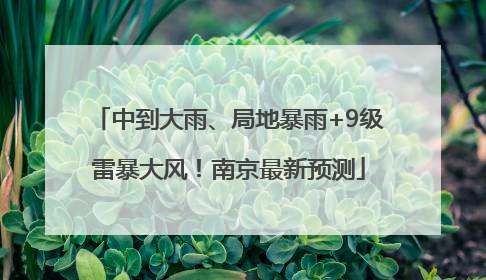 中到大雨、局地暴雨+9级雷暴大风！南京最新预测